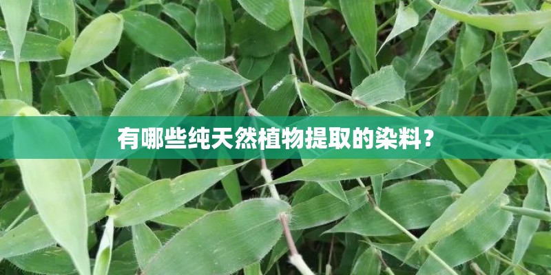 有哪些纯天然植物提取的染料？