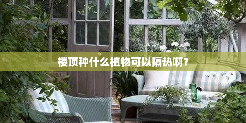 楼顶种什么植物可以隔热啊？