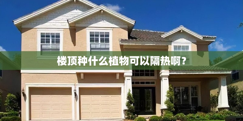 楼顶种什么植物可以隔热啊？