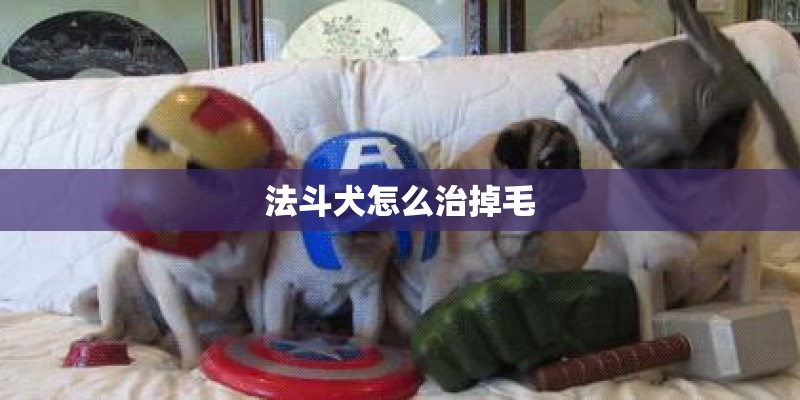 法斗犬怎么治掉毛