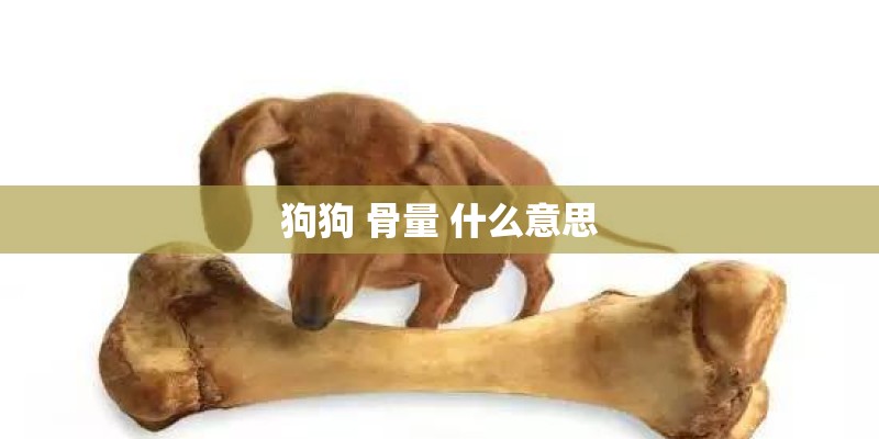 狗狗 骨量 什么意思