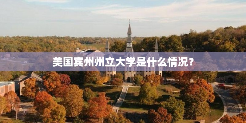 美国宾州州立大学是什么情况？
