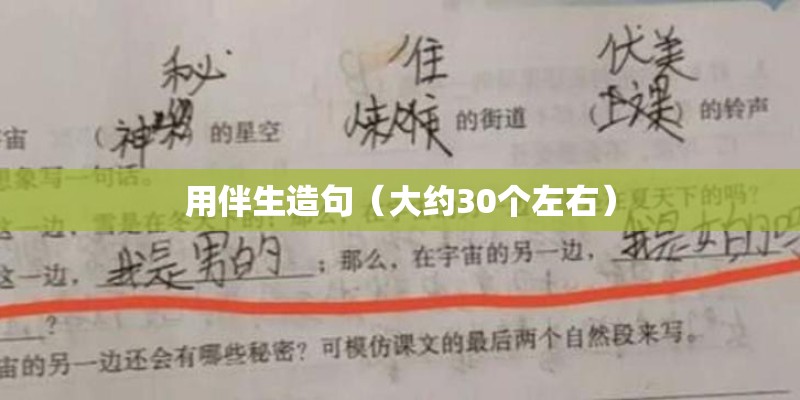 用伴生造句（大约30个左右）