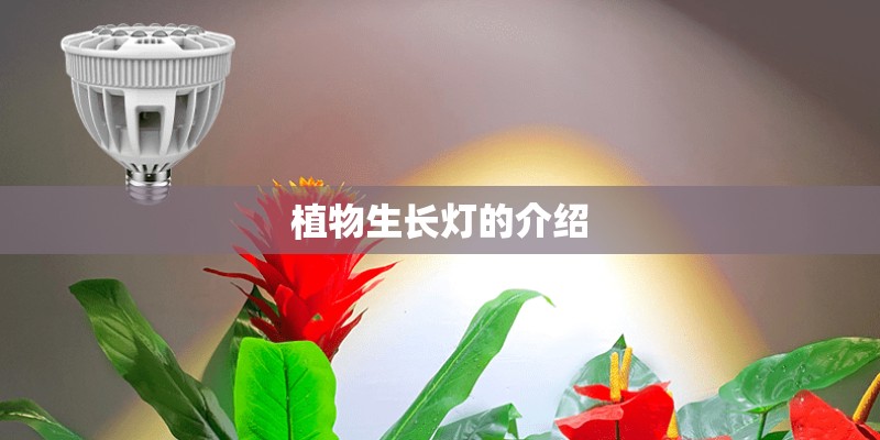 植物生长灯的介绍