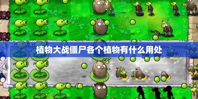 植物大战僵尸各个植物有什么用处