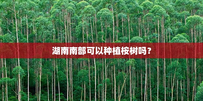 湖南南部可以种植桉树吗？