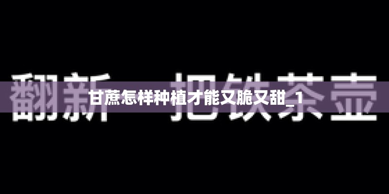 甘蔗怎样种植才能又脆又甜_1