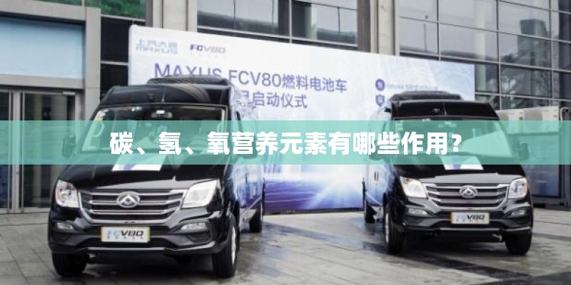 碳、氢、氧营养元素有哪些作用？