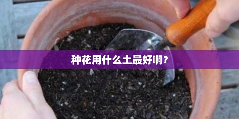 种花用什么土最好啊？