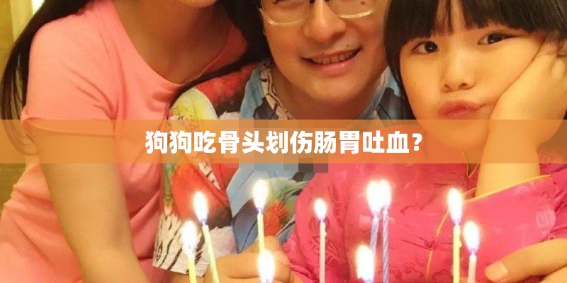 狗狗吃骨头划伤肠胃吐血？