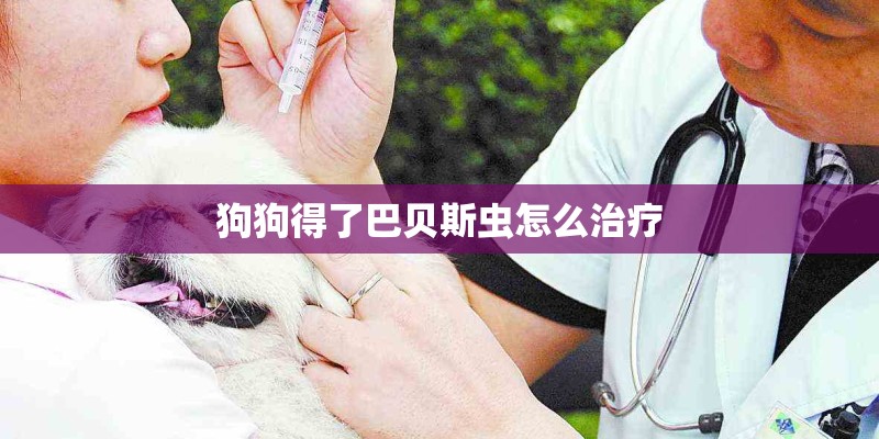 狗狗得了巴贝斯虫怎么治疗