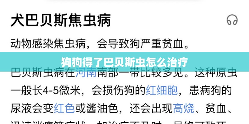 狗狗得了巴贝斯虫怎么治疗 狗狗得了巴贝斯虫怎么治疗