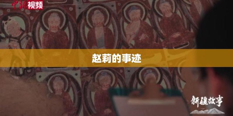 赵莉的事迹