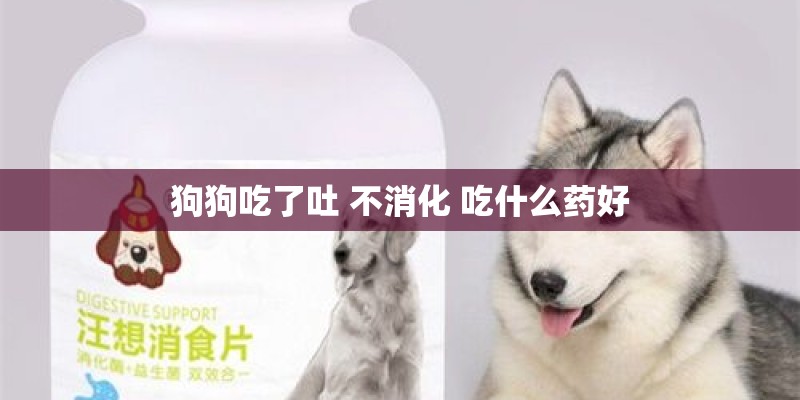 狗狗吃了吐 不消化 吃什么药好