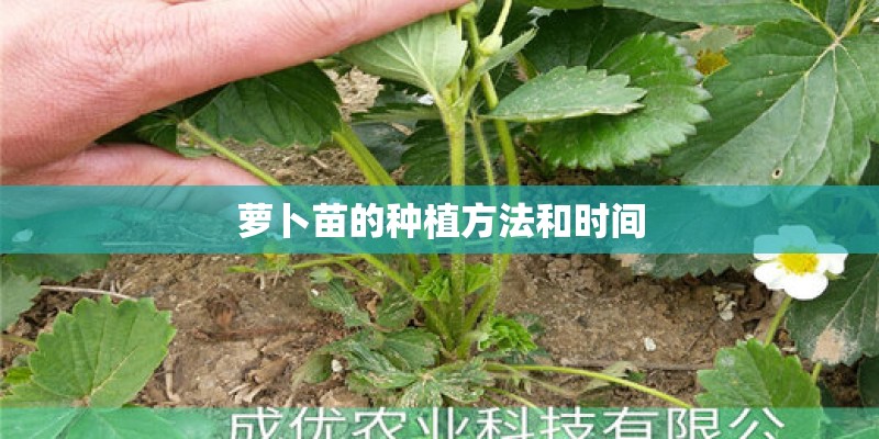 梦见母亲种茄子的预兆