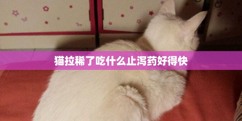 猫拉稀了吃什么止泻药好得快
