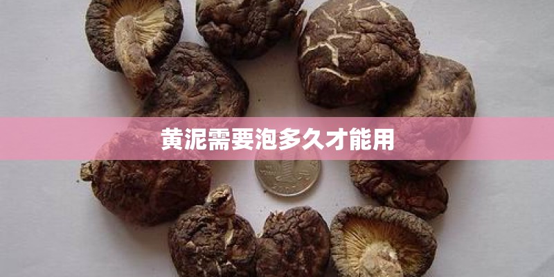 黄泥需要泡多久才能用