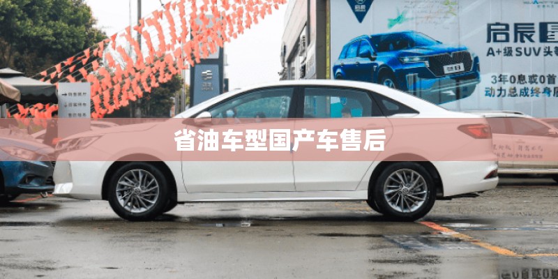 省油车型国产车售后
