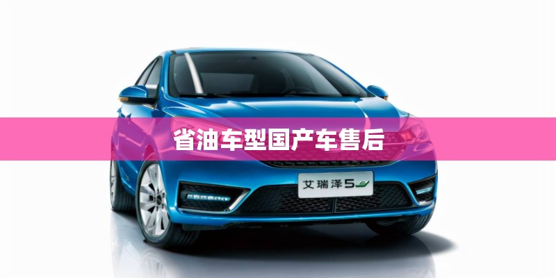 省油车型国产车售后