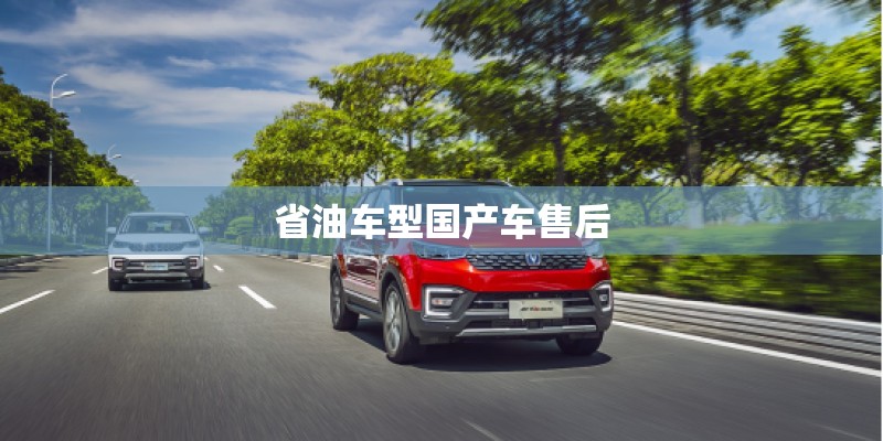 省油车型国产车售后