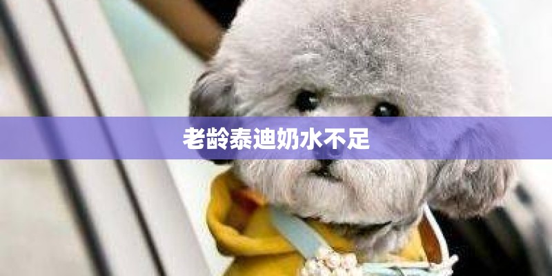 老龄泰迪奶水不足