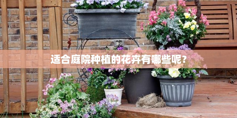 适合庭院种植的花卉有哪些呢？