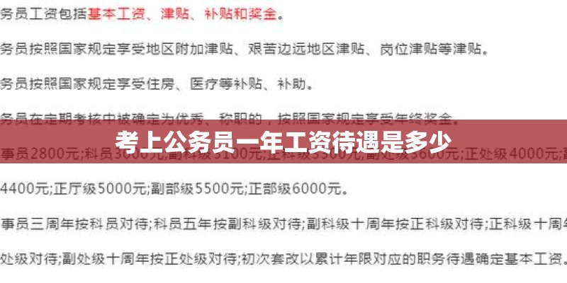 考上公务员一年工资待遇是多少