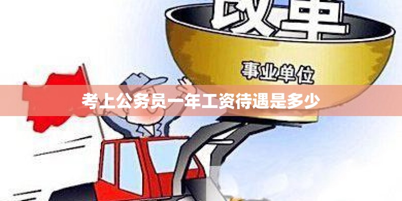 考上公务员一年工资待遇是多少