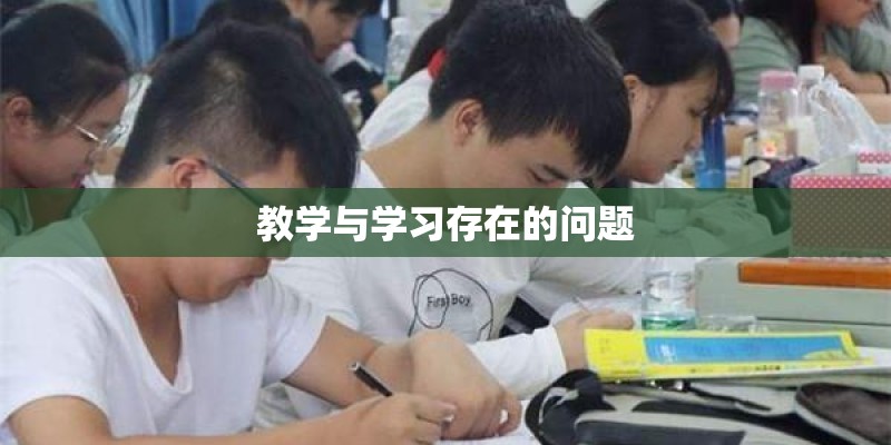 教学与学习存在的问题