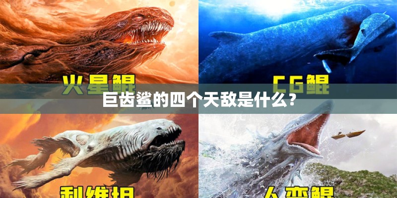 巨齿鲨的四个天敌是什么？