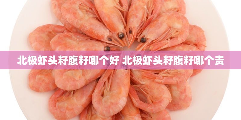 北极虾头籽腹籽哪个好 北极虾头籽腹籽哪个贵