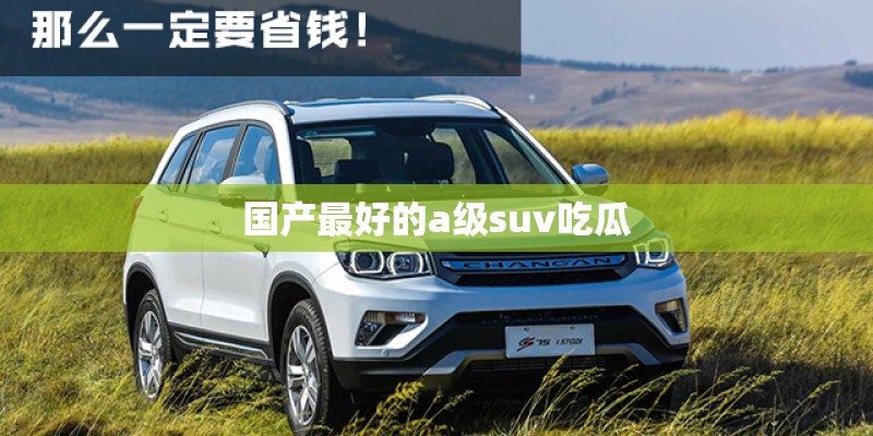 国产最好的a级suv吃瓜