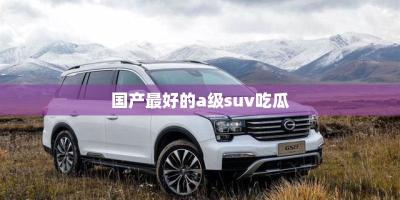 国产最好的a级suv吃瓜