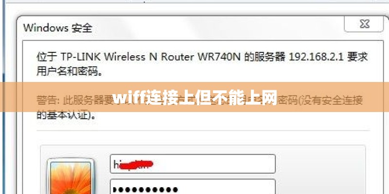 wiff连接上但不能上网