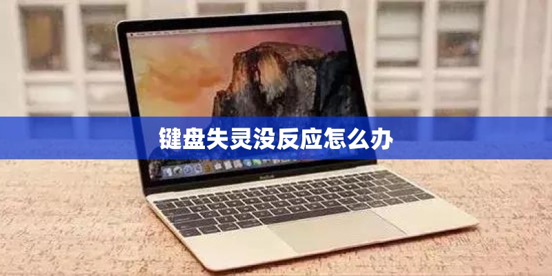 键盘失灵没反应怎么办