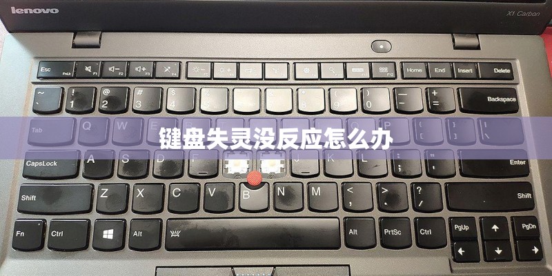 键盘失灵没反应怎么办