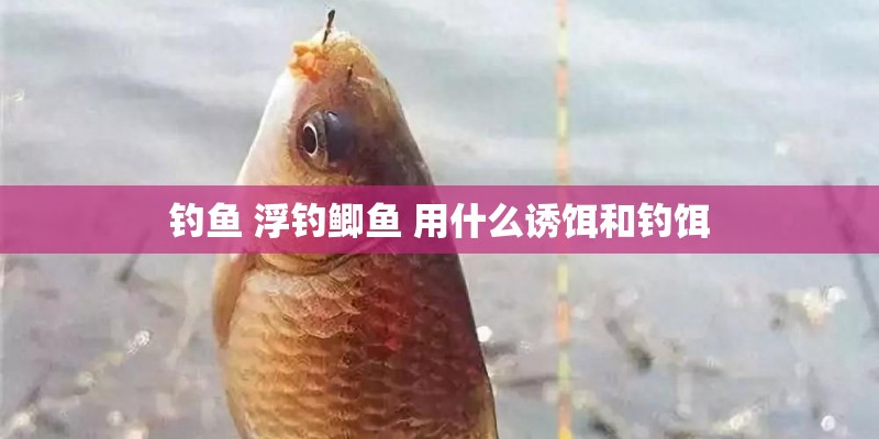 钓鱼 浮钓鲫鱼 用什么诱饵和钓饵