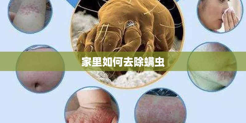 家里如何去除螨虫