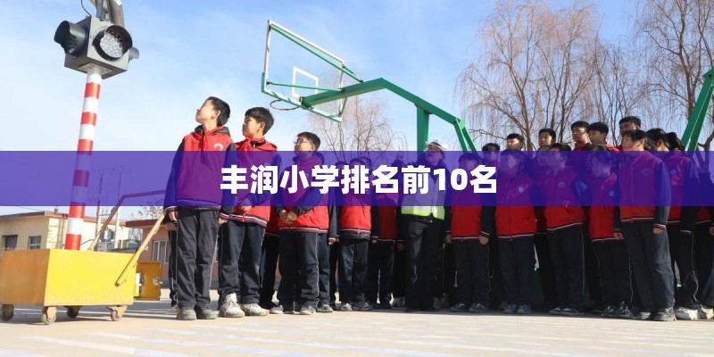 丰润小学排名前10名
