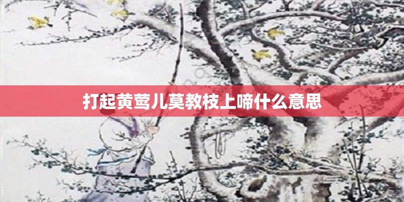 打起黄莺儿莫教枝上啼什么意思 打起黄莺儿莫教枝上啼什么意思