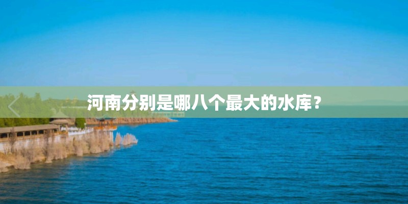 河南分别是哪八个最大的水库？