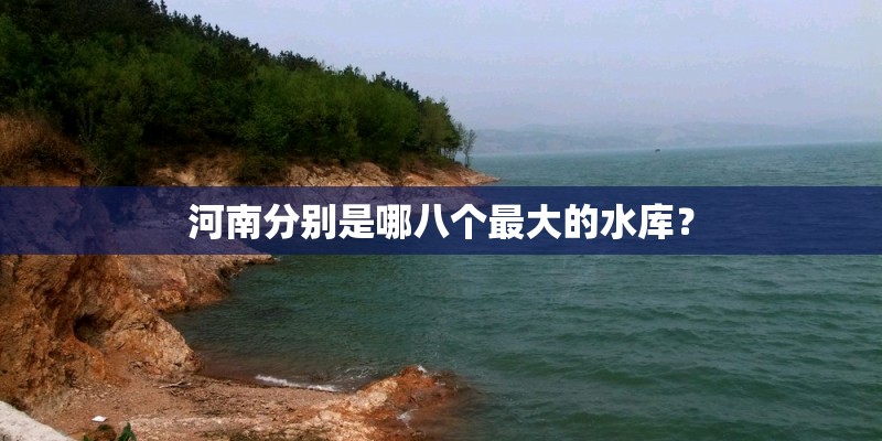 河南分别是哪八个最大的水库？