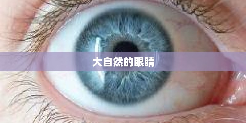大自然的眼睛