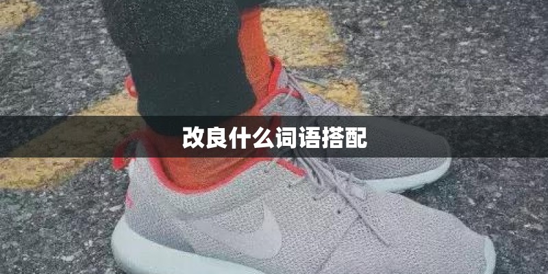 改良什么词语搭配