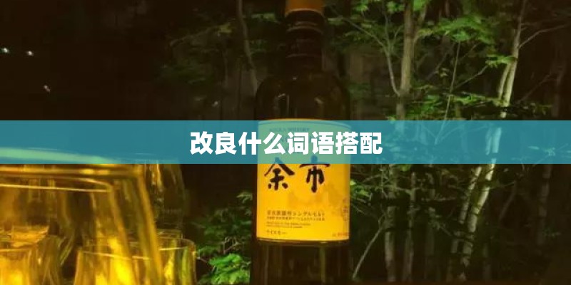 改良什么词语搭配