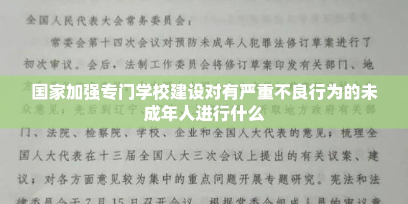 国家加强专门学校建设对有严重不良行为的未成年人进行什么