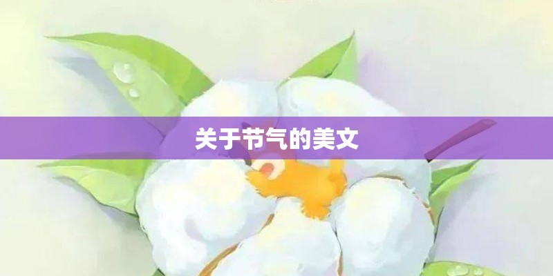 关于节气的美文