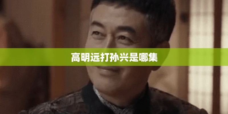 高明远打孙兴是哪集 高明远打孙兴是哪集