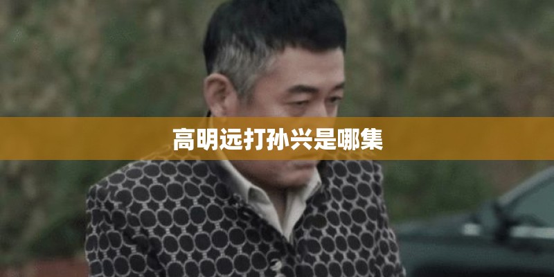 高明远打孙兴是哪集 高明远打孙兴是哪集