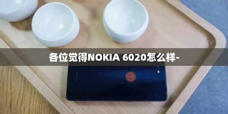 各位觉得NOKIA 6020怎么样-
